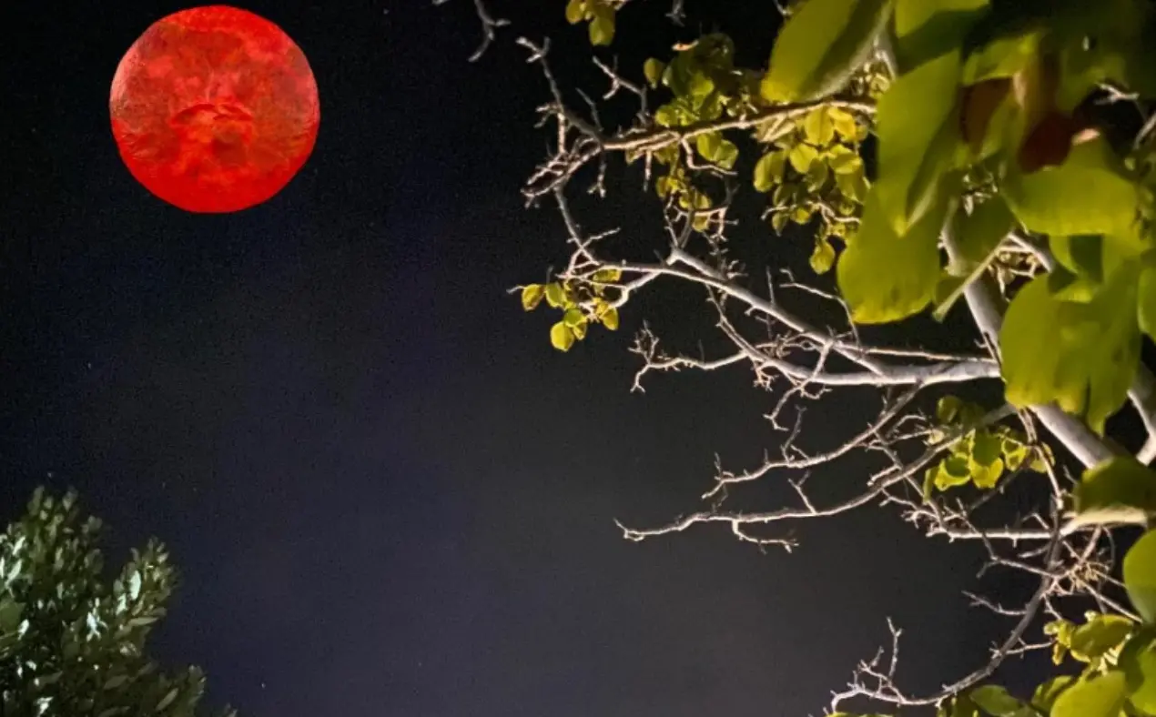 L’eclissi incanta la Calabria, tutti col naso all’insù per la luna di sangue\n