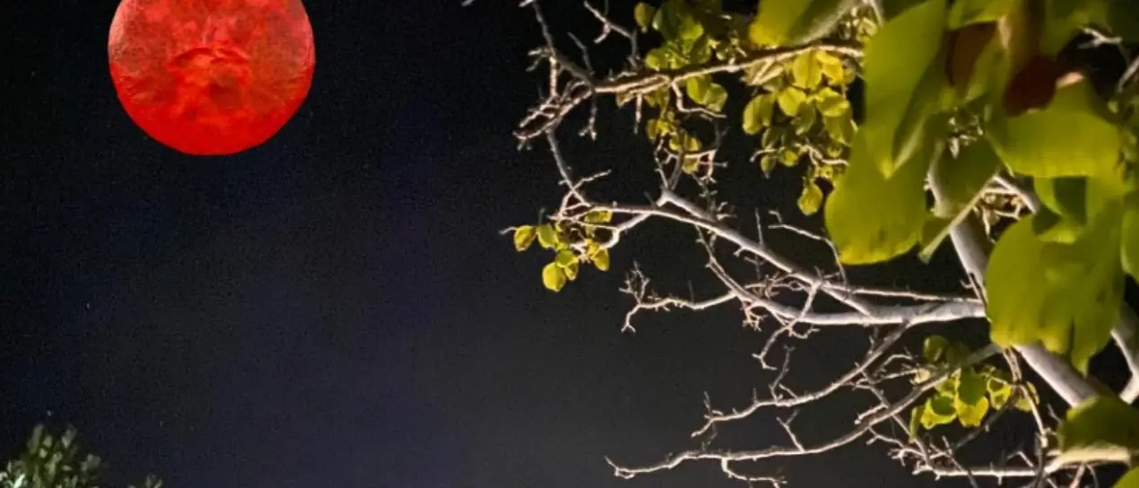 L’eclissi incanta la Calabria, tutti col naso all’insù per la luna di sangue\n