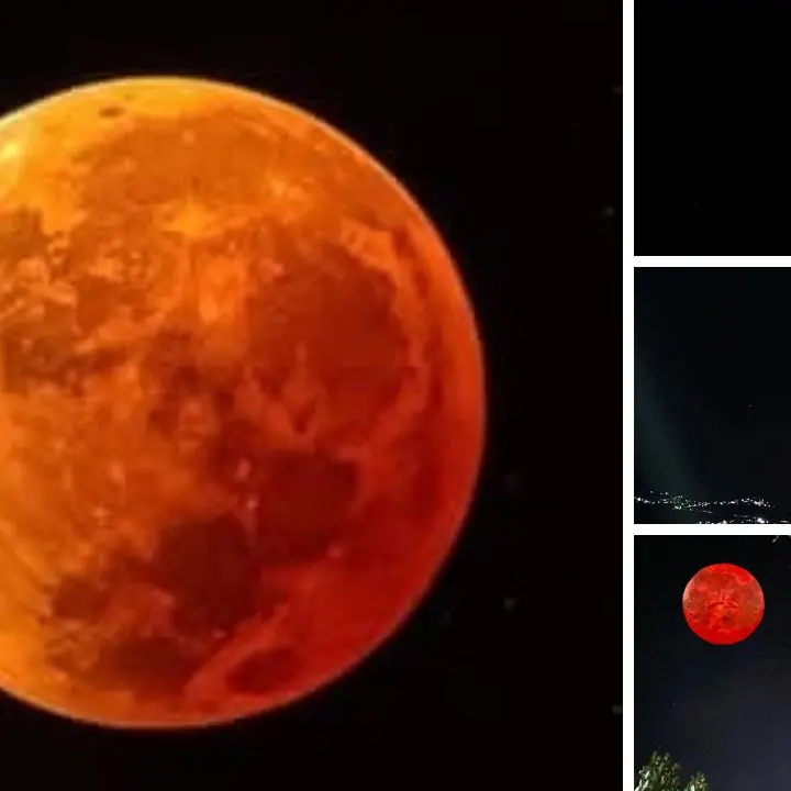 L’eclissi lunare è uno spettacolo: le immagini di un evento straordinario che si ripresenterà il 31 dicembre 2028\u00A0\n