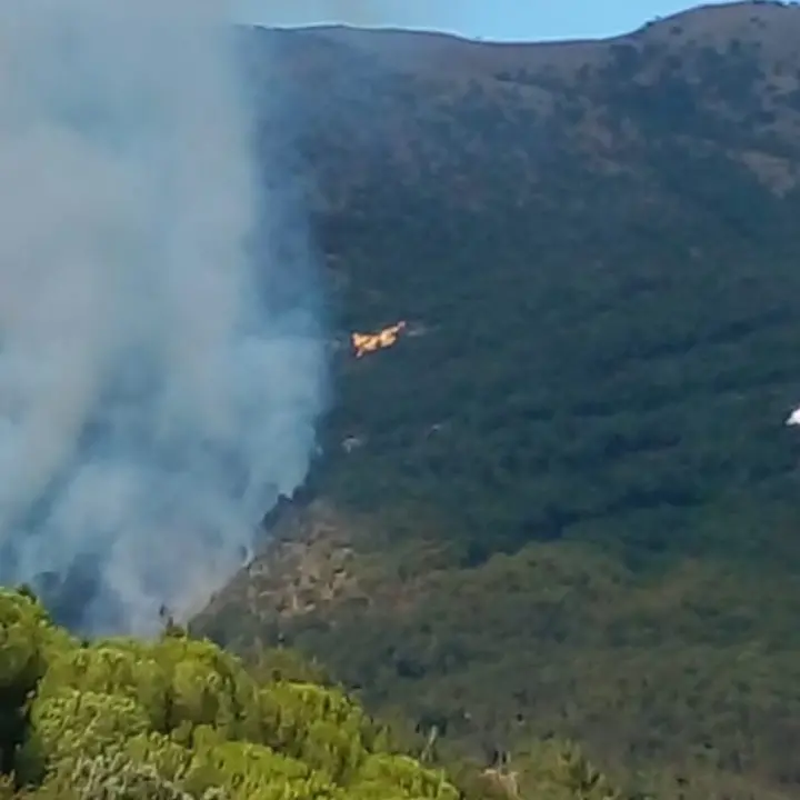 Fiamme alte sul Pollino, in azione tre canadair e un elicottero