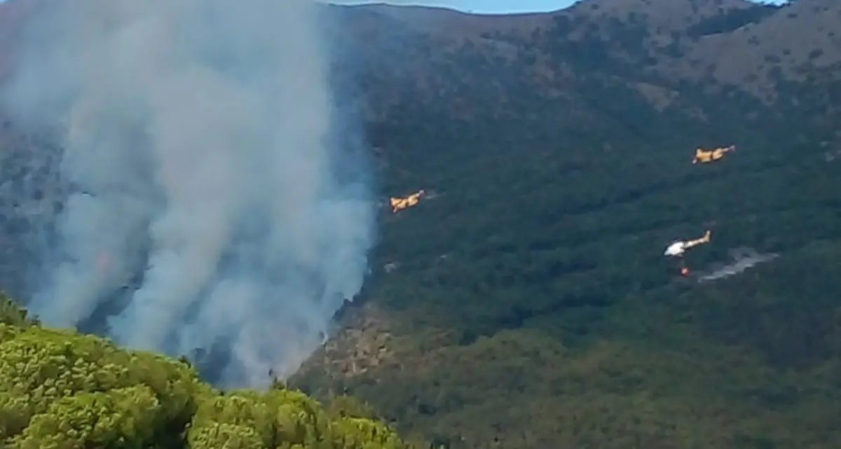 Fiamme alte sul Pollino, in azione tre canadair e un elicottero