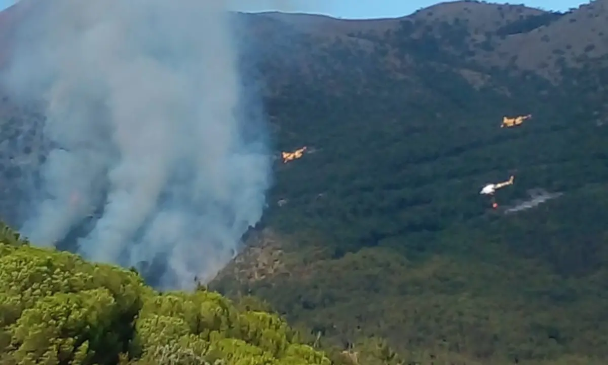 Fiamme alte sul Pollino, in azione tre canadair e un elicottero