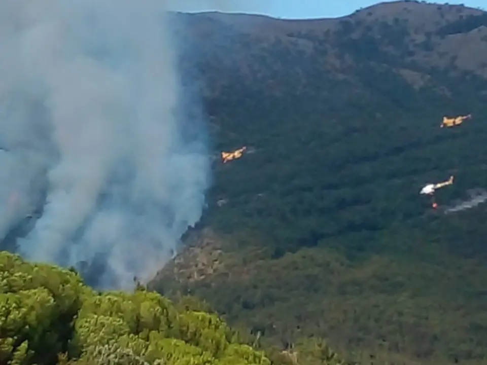 Fiamme alte sul Pollino, in azione tre canadair e un elicottero