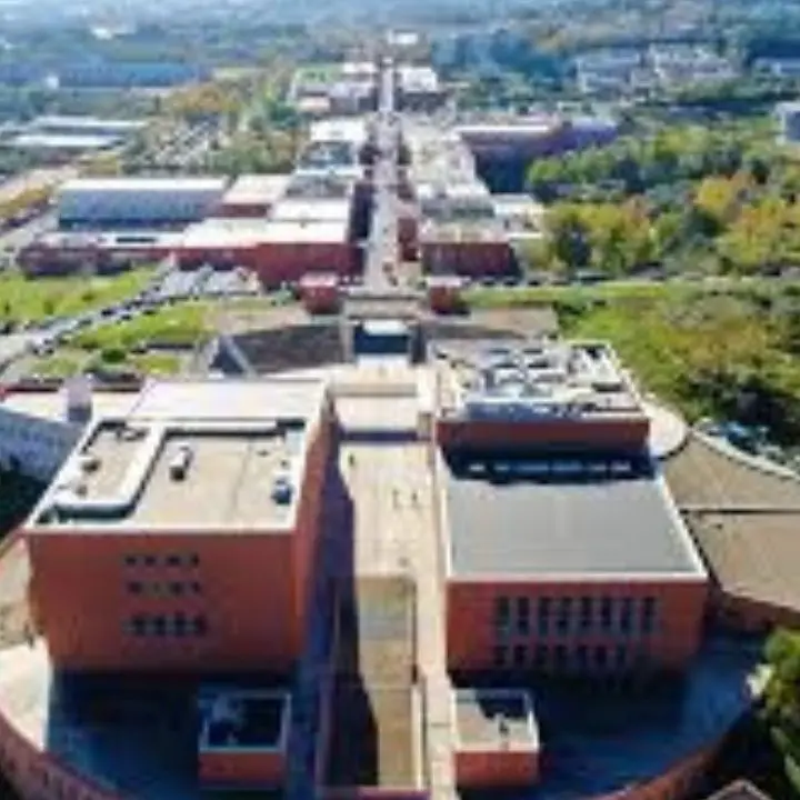 Università della Calabria: numeri, servizi e corsi di laurea per l’anno accademico 2025/26
