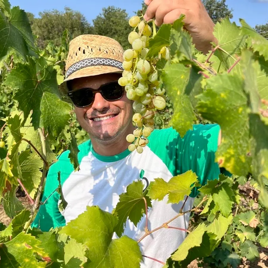 Motta Filocastro, un borgo che rivive trainato dalle radici storiche e da prodotti agroalimentari di filiera corta\n