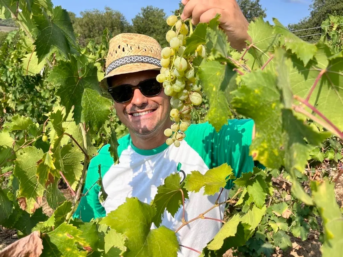 Motta Filocastro, un borgo che rivive trainato dalle radici storiche e da prodotti agroalimentari di filiera corta\n