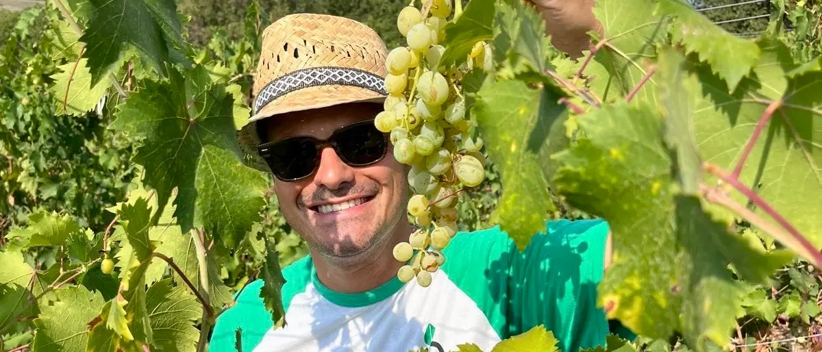 Motta Filocastro, un borgo che rivive trainato dalle radici storiche e da prodotti agroalimentari di filiera corta\n