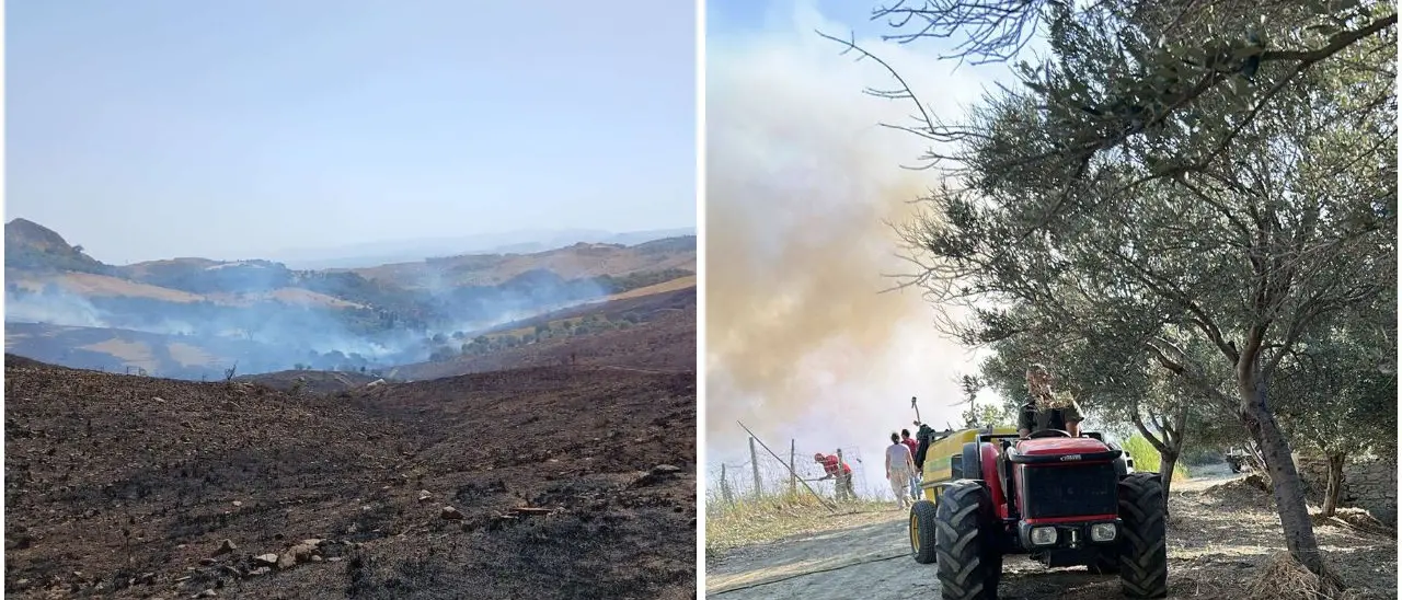 Giovane agricoltore ustionato a Castrovillari per salvare i suoi vitelli, Coldiretti:\u00A0«Gesto eroico»\n