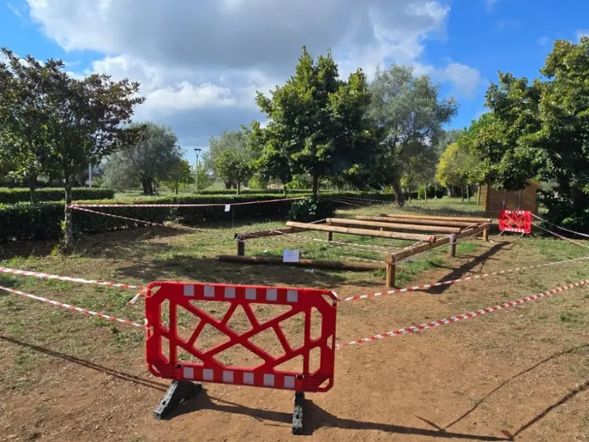 Bimbo ferito al Parco urbano di Vibo, la polizia acquisisce atti in Municipio e la Procura nomina un perito