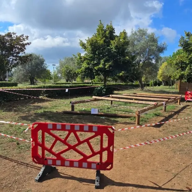 Vibo, è morto il bambino di tre\u00A0anni travolto da una trave nel parco urbano