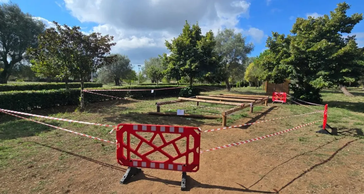 Vibo, è morto il bambino di tre\u00A0anni travolto da una trave nel parco urbano