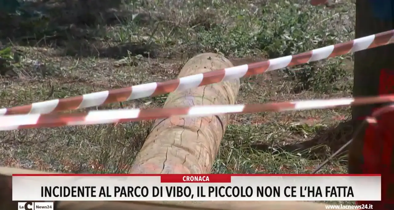 Incidente al Parco di Vibo, il piccolo non ce l'ha fatta