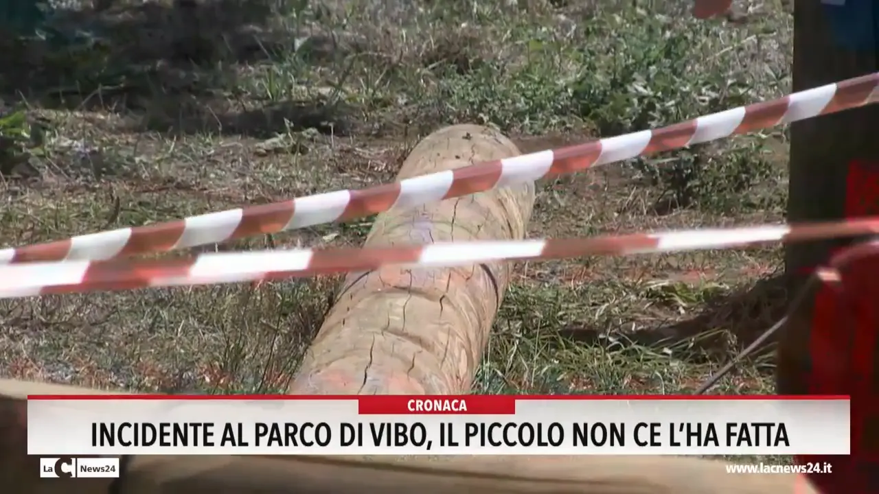 Incidente al Parco di Vibo, il piccolo non ce l'ha fatta