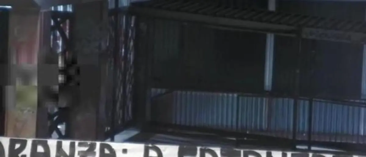 Arrestati tre militanti di Forza Nuova a Catanzaro: il gip cita post su Mussolini e ronde sui social\n