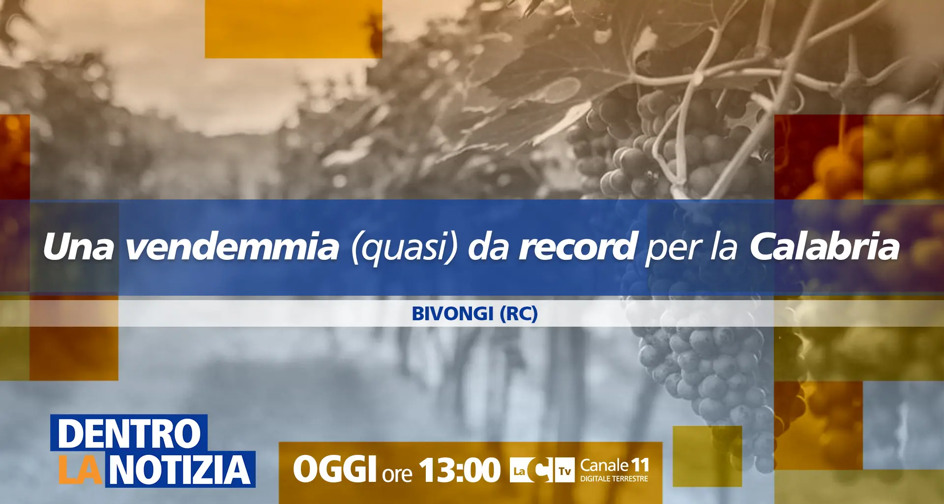 Vendemmia da record in Calabria, a Dentro la Notizia viaggio nei luoghi del vino Bivongi Doc\n