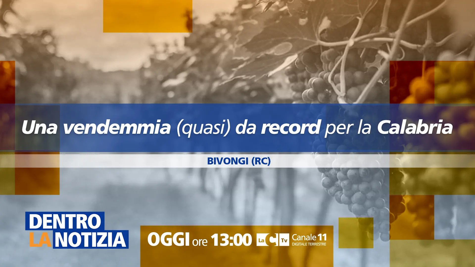 Vendemmia da record in Calabria, a Dentro la Notizia viaggio nei luoghi del vino Bivongi Doc\n