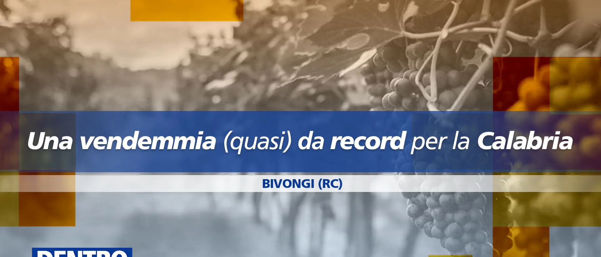 Vendemmia da record in Calabria, a Dentro la Notizia viaggio nei luoghi del vino Bivongi Doc\n