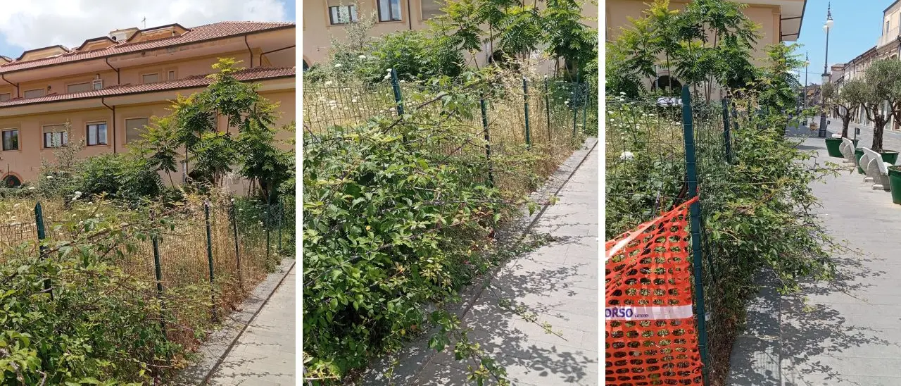 Erbacce e degrado sul corso principale, la denuncia di una residente: «Vibo e i suoi cittadini meritano rispetto»
