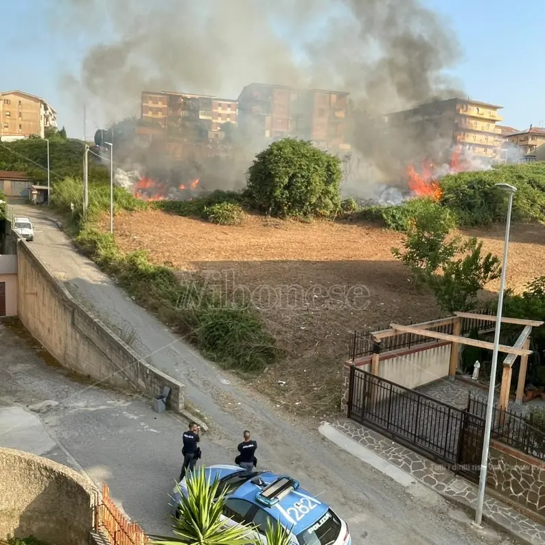 Incendi nel Vibonese, i sindacati di polizia plaudono agli agenti: «Hanno sfidato le fiamme per mettere in sicurezza i cittadini»