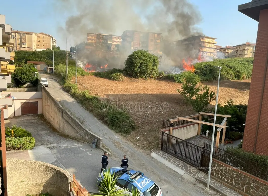 Incendi nel Vibonese, i sindacati di polizia plaudono agli agenti: «Hanno sfidato le fiamme per mettere in sicurezza i cittadini»