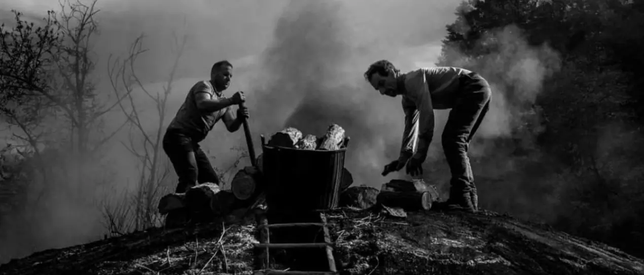 Viaggio alla scoperta degli ultimi carbonai: a Serra San Bruno escursione notturna “allu scarazzu”