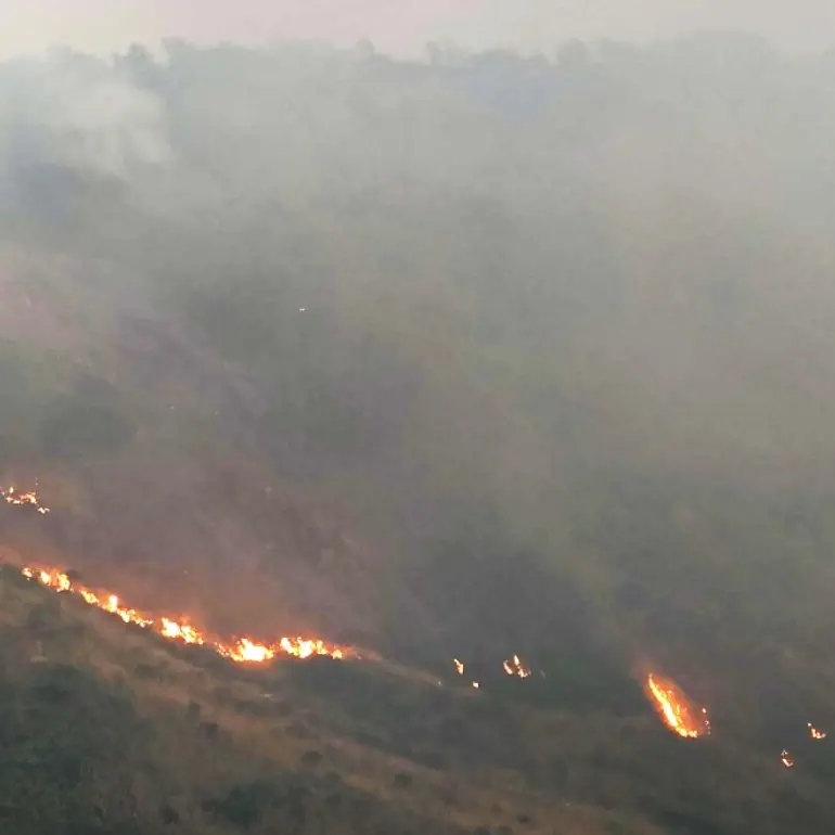 Vibo, incendi e viabilità in tilt: il Siulp elogia polizia e soccorritori per la gestione dell’emergenza