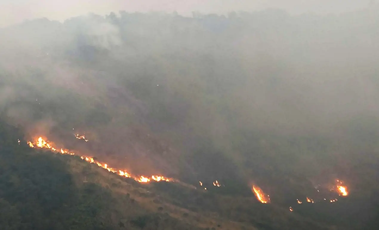 Vibo, incendi e viabilità in tilt: il Siulp elogia polizia e soccorritori per la gestione dell’emergenza