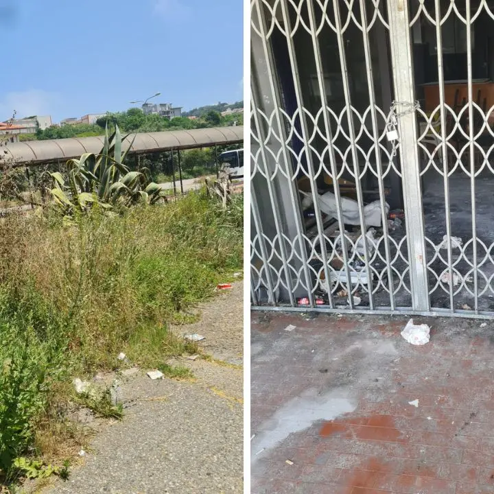 Il Terminal bus di Vibo divorato dal degrado, Franzè (Fdi): «Imbarazzante. I fondi ci sono, basta scuse»