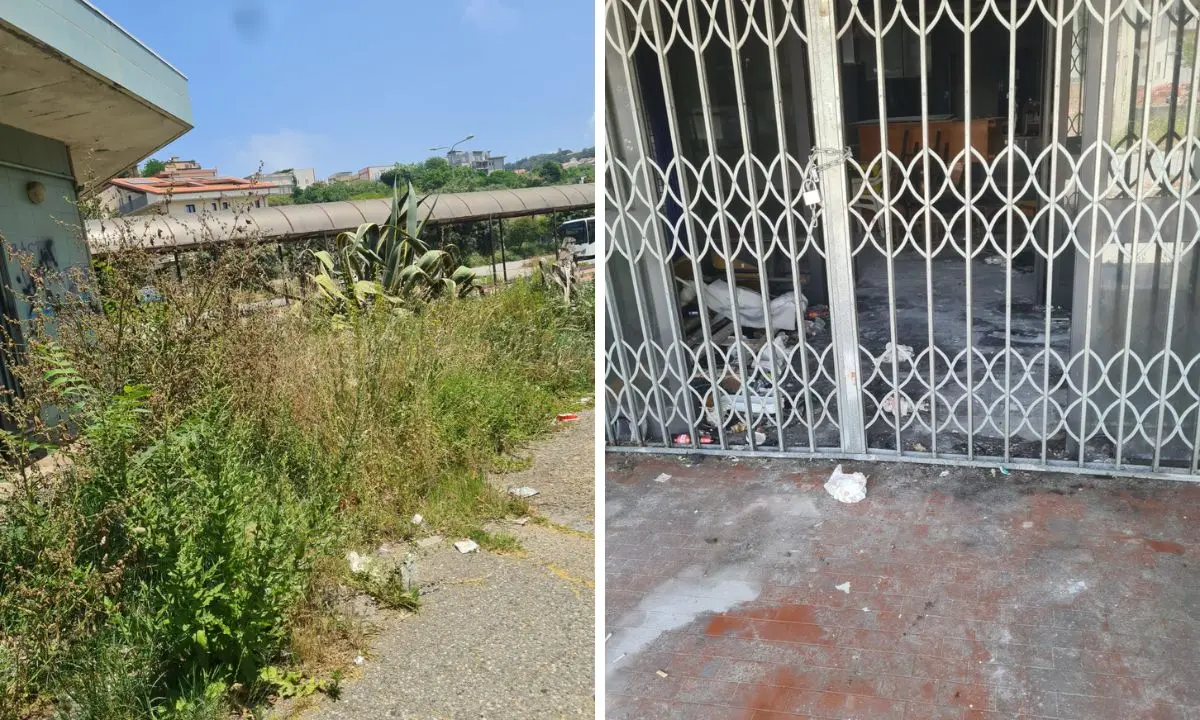 Il Terminal bus di Vibo divorato dal degrado, Franzè (Fdi): «Imbarazzante. I fondi ci sono, basta scuse»