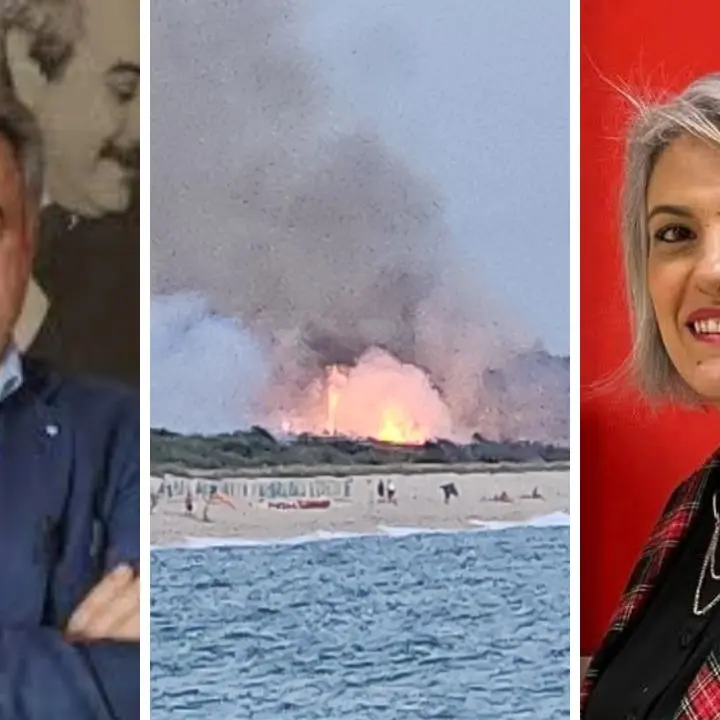 Pineta di Nicotera incendiata, il sindaco Marasco denuncia la mano criminale: «Le fototrappole potrebbero svelare i responsabili»