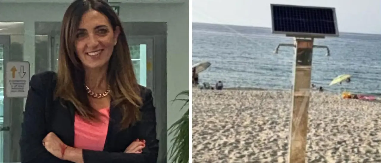 Docce pubbliche da 40mila euro rimosse a Vibo Marina, Franzé (Fi): «Con Limardo gettate le basi per la Bandiera Blu, ora tutto alle ortiche»