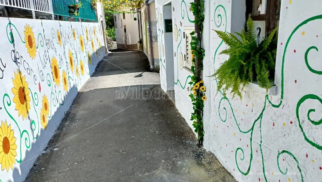 Vibo, i cittadini di Triparni in gara per far tornare a nuova vita il borgo: il risultato è un tripudio di colori