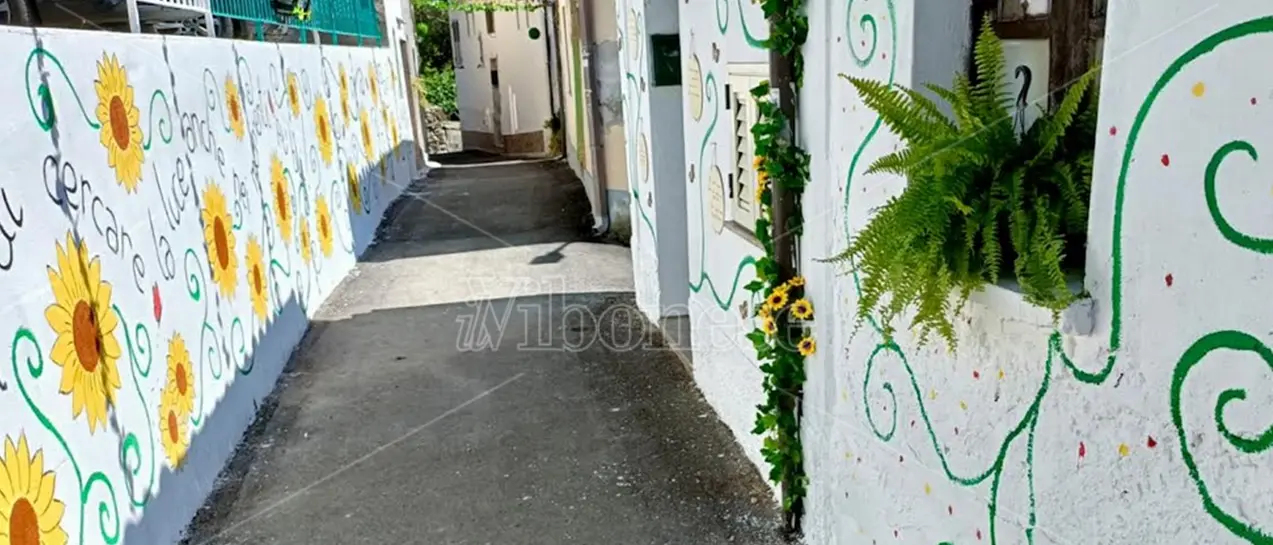 Vibo, i cittadini di Triparni in gara per far tornare a nuova vita il borgo: il risultato è un tripudio di colori