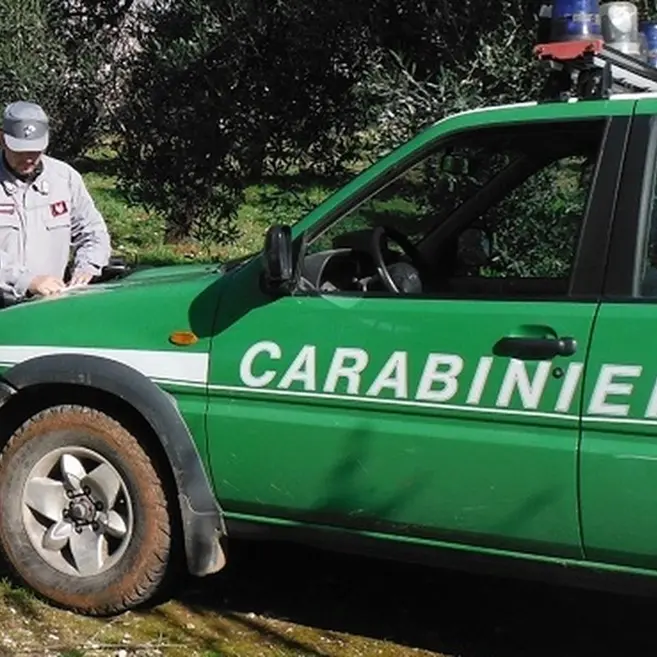 Quasi quasi mi faccio un lago privato… Carabinieri e polizia municipale sequestrano a Filadelfia un bacino artificiale ritenuto abusivo
