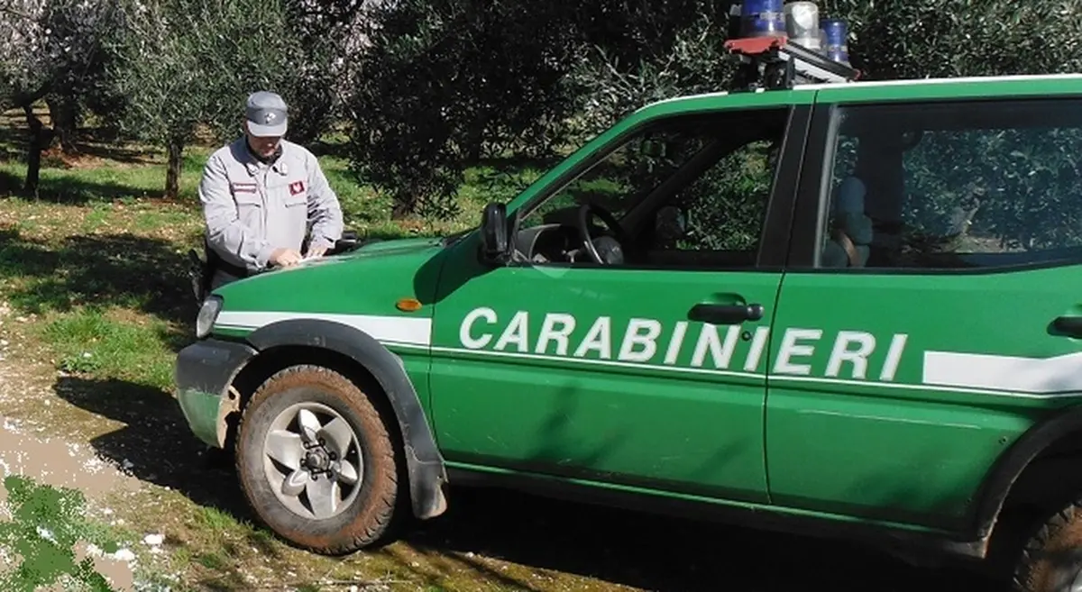 Quasi quasi mi faccio un lago privato… Carabinieri e polizia municipale sequestrano a Filadelfia un bacino artificiale ritenuto abusivo