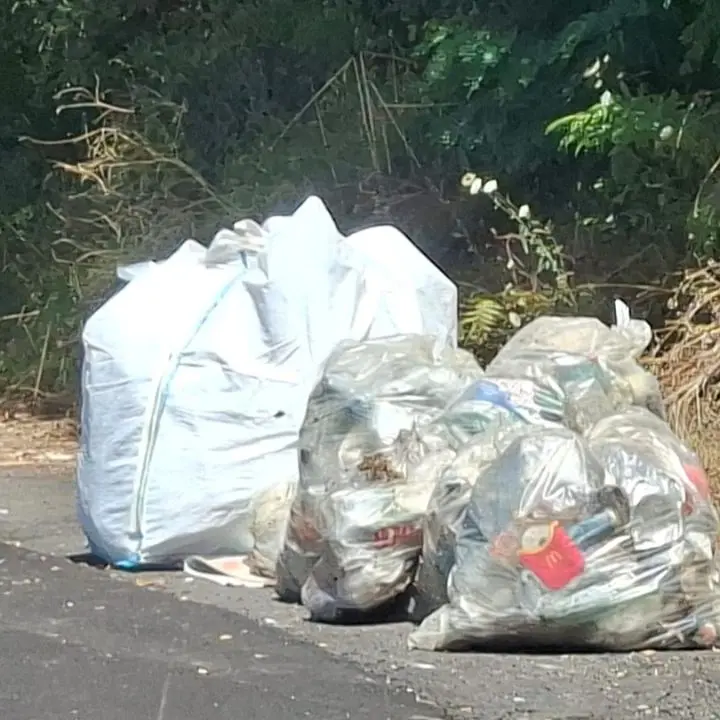 A Vibo strade pulite per un giorno: l'inciviltà vince sul decoro urbano ma ora i reati ambientali sono puniti con supermulte e carcere