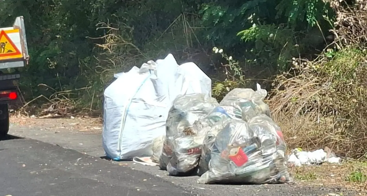 A Vibo strade pulite per un giorno: l'inciviltà vince sul decoro urbano ma ora i reati ambientali sono puniti con supermulte e carcere