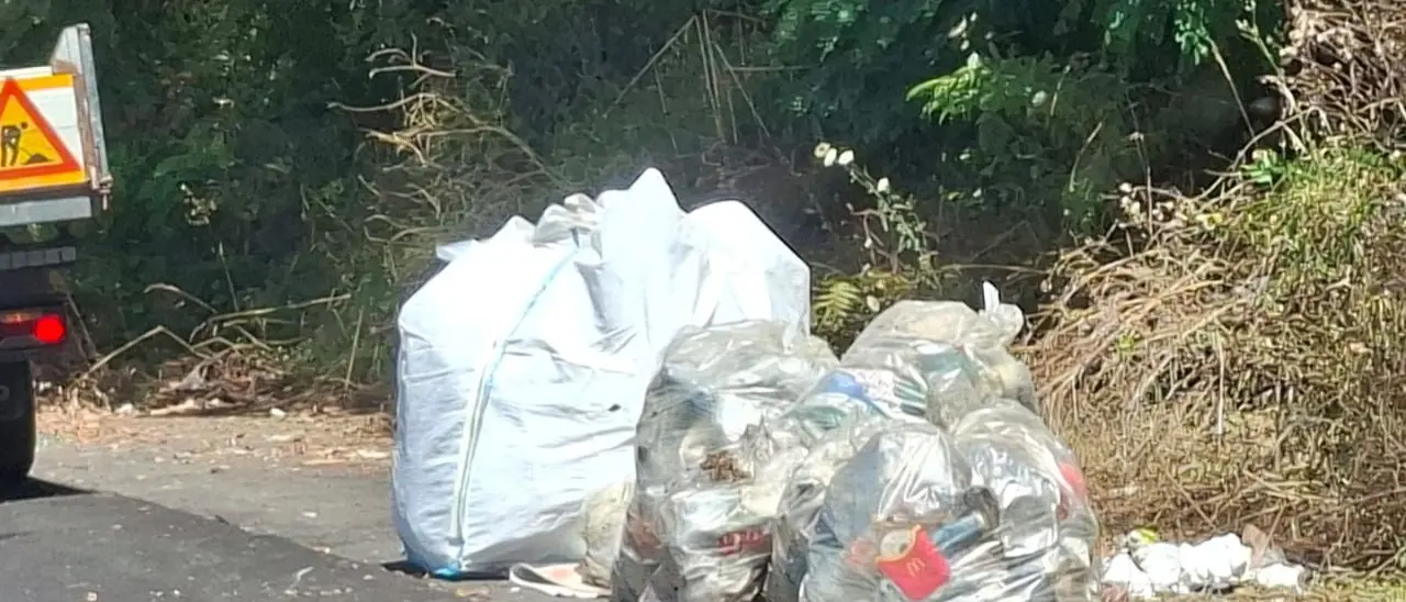 A Vibo strade pulite per un giorno: l'inciviltà vince sul decoro urbano ma ora i reati ambientali sono puniti con supermulte e carcere