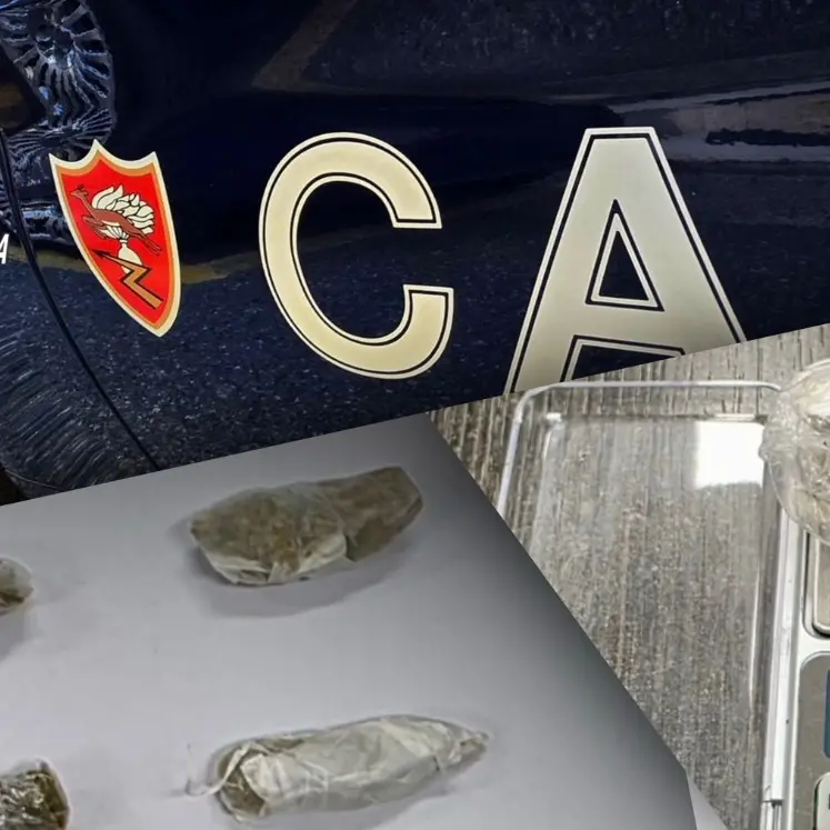 Droga in auto e guida in stato di ebbrezza: denunce e patenti ritirate nel Vibonese