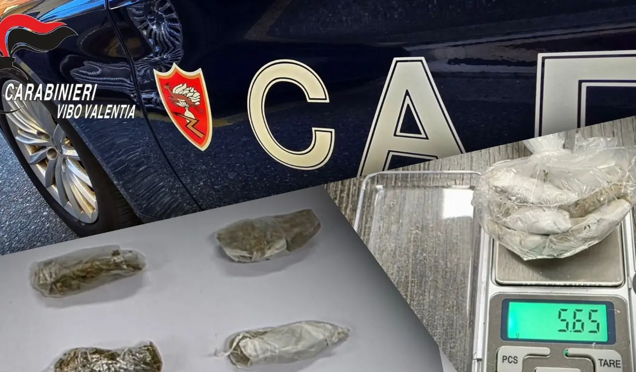 Droga in auto e guida in stato di ebbrezza: denunce e patenti ritirate nel Vibonese