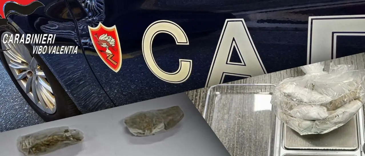 Droga in auto e guida in stato di ebbrezza: denunce e patenti ritirate nel Vibonese