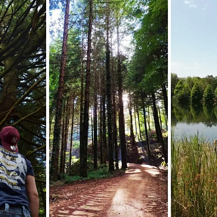 Non solo mare, dal bosco Archiforo alla Riserva Cropani-Micone: viaggio tra i sentieri naturalistici più suggestivi del Vibonese
