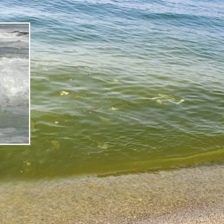 «Per un mare pulito servono risposte serie e non droni», l'analisi dell'ambientalista che invoca più depuratori e interventi sulle reti fognarie