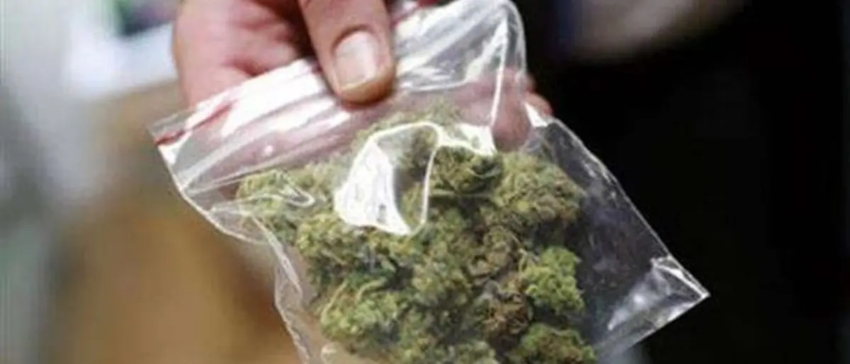 In auto con la marijuana nel bagagliaio, scoperti dai carabinieri a Vena di Ionadi