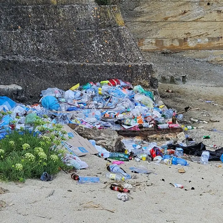 Pizzo, la spiaggia di Riviera Prangi sommersa da cumuli di rifiuti: «Anni di inciviltà e abbandono, si faccia al più presto pulizia» -VIDEO