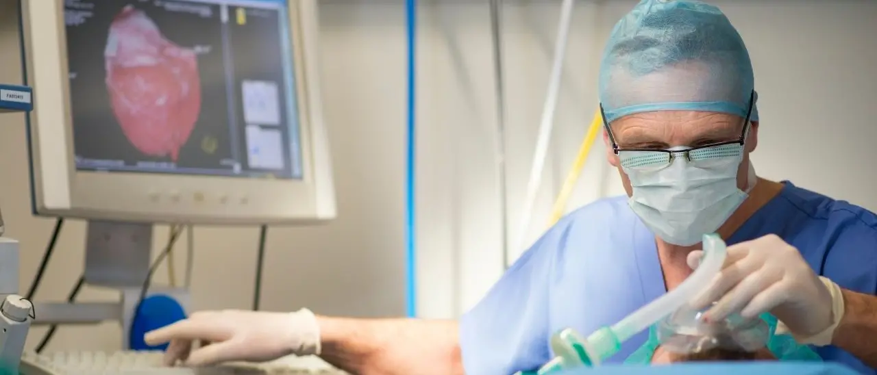 Non ci sono anestesisti, l'Asp di Vibo costretta a reperirli attraverso una società di Messina a 84 euro l'ora