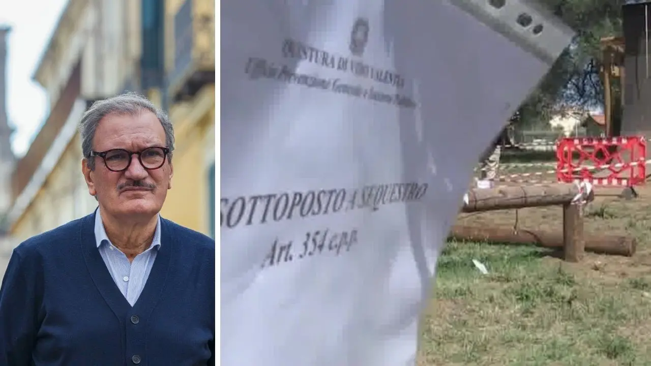 Dramma al parco di Vibo, il sindaco: «Da padre e nonno sento rispetto e coltivo speranza». Ma precisa: «L'area non ancora gestita dal Comune»
