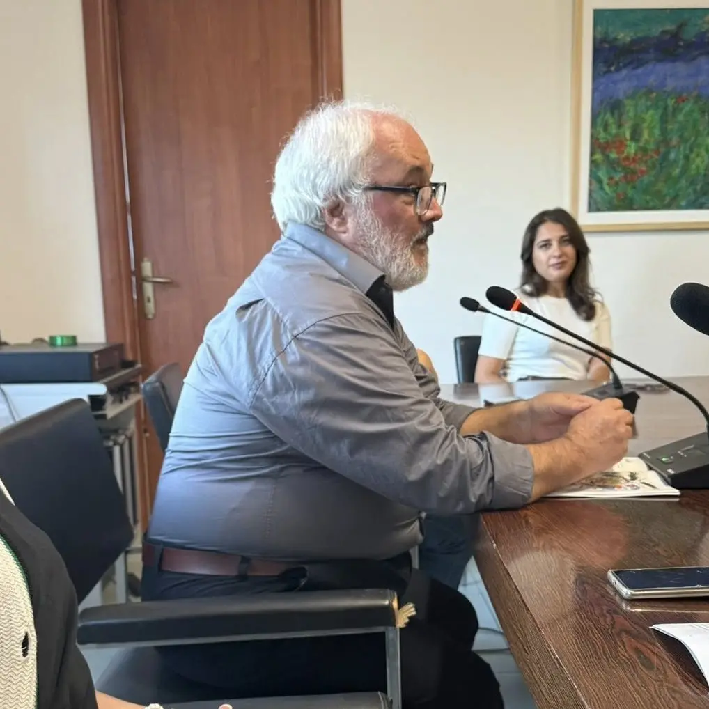 A Jonadi, inaugurata la mostra “JΩNAΩΣ”, atto d’amore del maestro Mazzotta verso la sua terra natia