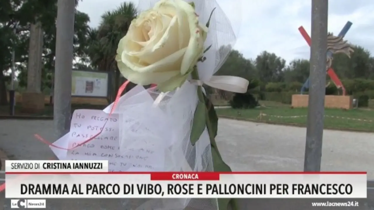 Dramma al parco di Vibo, rose e palloncini per Francesco