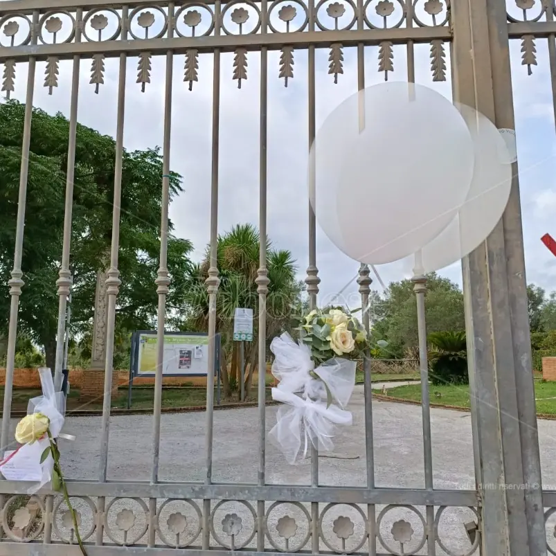 Vibo, sabato i funerali del piccolo Francesco: già palloncini bianchi e fiori ai cancelli del parco urbano\n